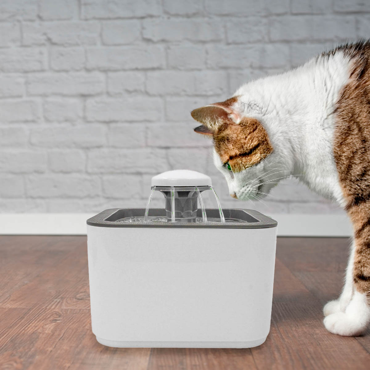 Fonte Bebedouro Gatos Cães Automático Com Filtro USB Bivolt